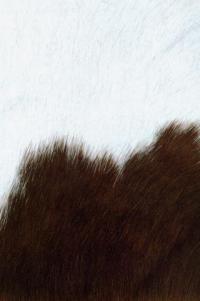Black & brown ponyskin