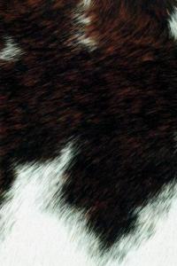 Black, white & brown ponyskin