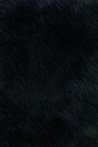 Black ponyskin