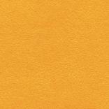 6550