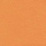 6650