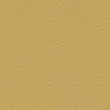 Buckskin