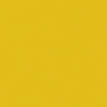 Lemon Grass